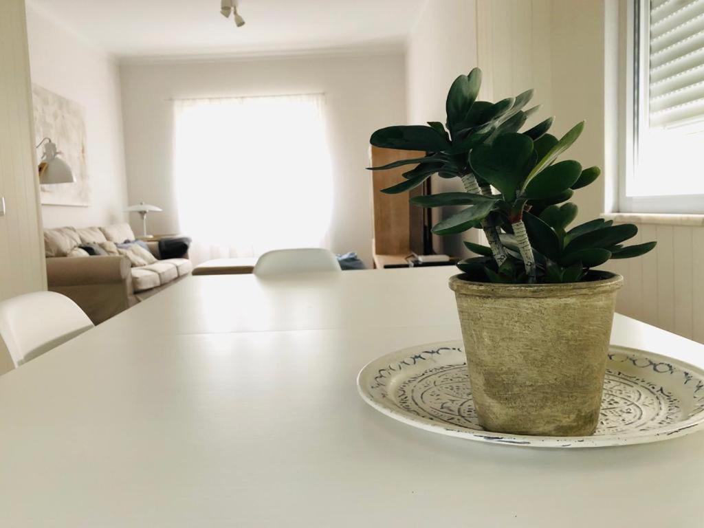 Apartamento Espacoso E Confortavel No Centro Do Montijo Apartman Kültér fotó